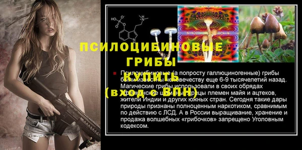 амф Алексеевка