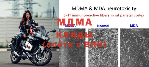 амф Алексеевка