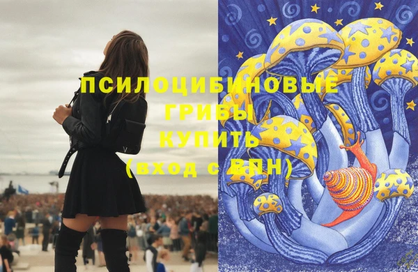 амф Алексеевка