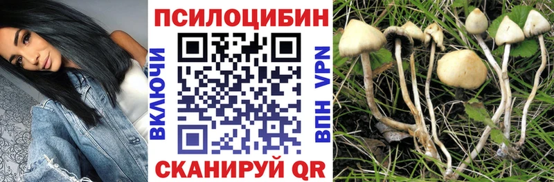Псилоцибиновые грибы Magic Shrooms  Ижевск 