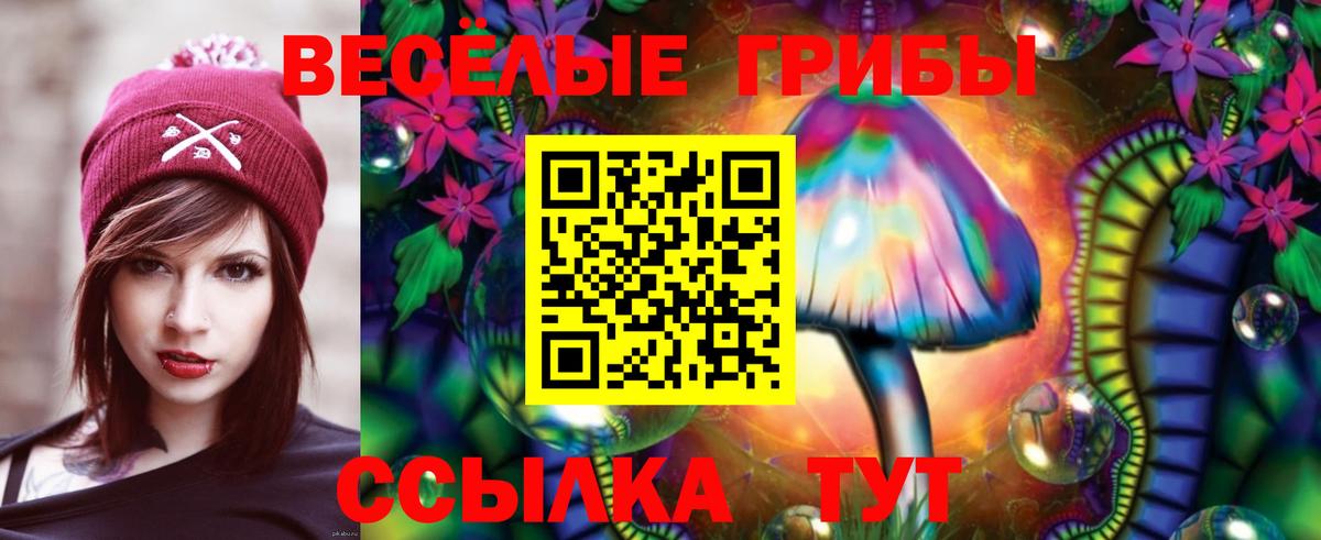 Псилоцибиновые грибы GOLDEN TEACHER  Вход с VPN  Ижевск 