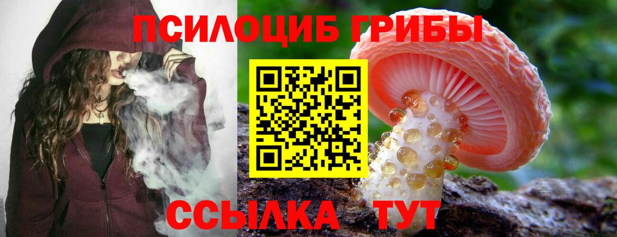 Псилоцибиновые грибы прущие грибы Ижевск